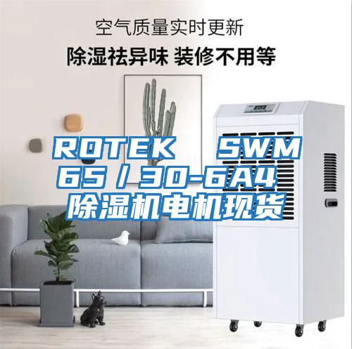 ROTEK  SWM65／30-6A4 除湿机电机现货