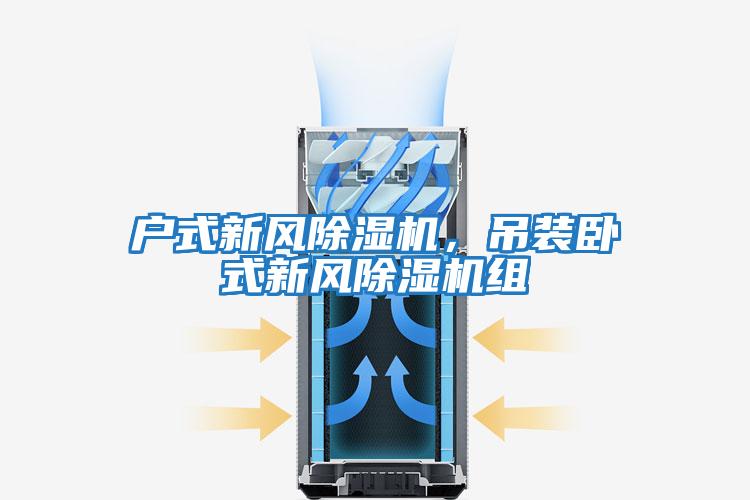 户式新风除湿机，吊装卧式新风除湿机组