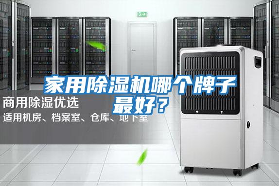 家用除湿机哪个牌子最好？