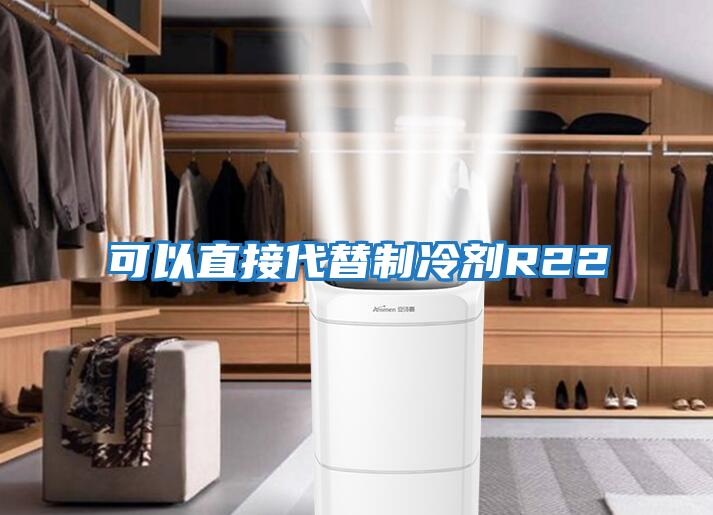 可以直接代替制冷剂R22