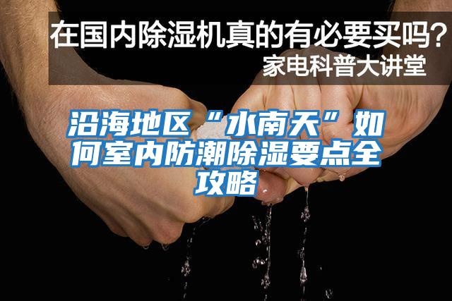 沿海地区“水南天”如何室内防潮除湿要点全攻略