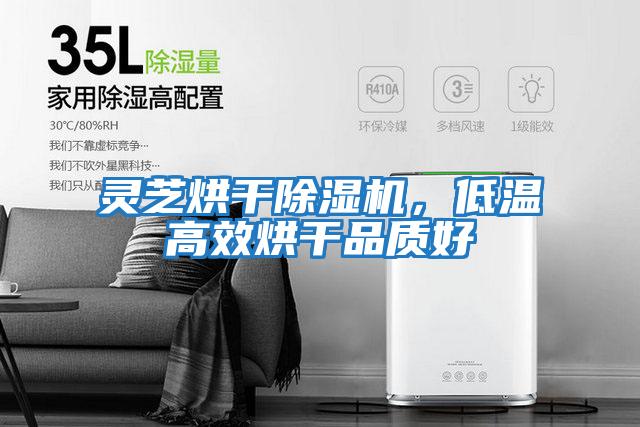 灵芝烘干除湿机，低温高效烘干品质好