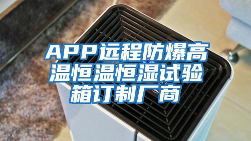 APP远程防爆高温恒温恒湿试验箱订制厂商