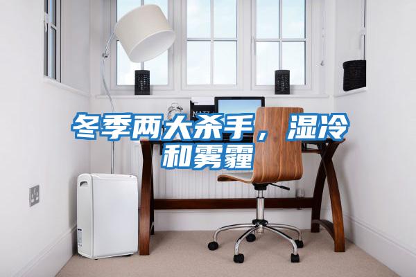 冬季两大杀手，湿冷和雾霾