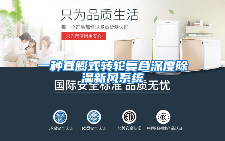 一种直膨式转轮复合深度除湿新风系统