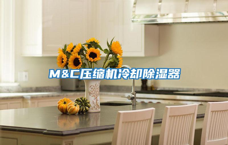 M&C压缩机冷却除湿器