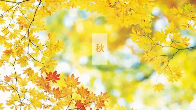 一定要除湿的10大领域_重复