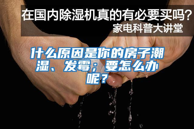 什么原因是你的房子潮湿、发霉；要怎么办呢？