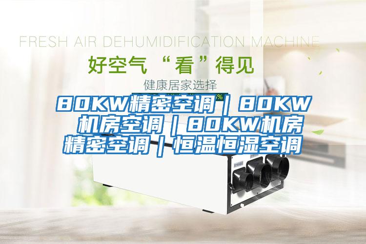 80KW精密空调｜80KW 机房空调｜80KW机房精密空调｜恒温恒湿空调