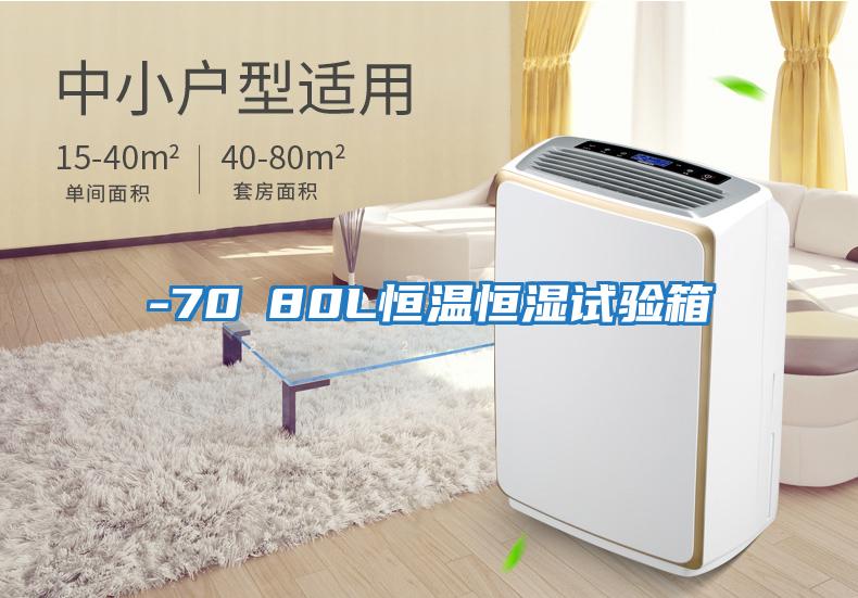 -70℃80L恒温恒湿试验箱