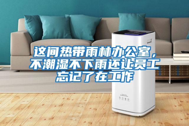 这间热带雨林办公室，不潮湿不下雨还让员工忘记了在工作