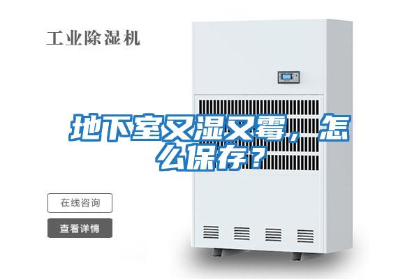 地下室又湿又霉，怎么保存？