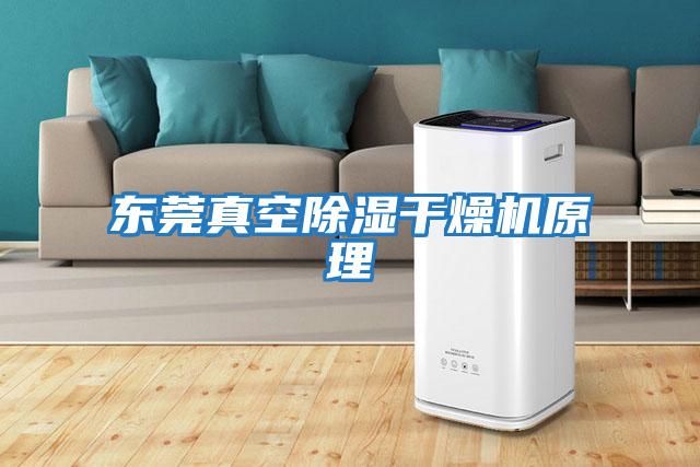 东莞真空除湿干燥机原理