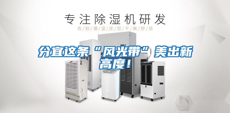 分宜这条“风光带”美出新高度！