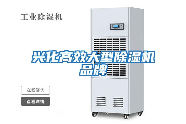 兴化高效大型除湿机品牌
