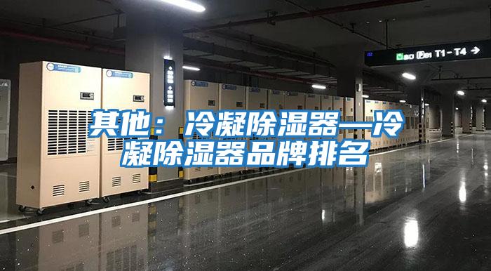 其他：冷凝除湿器—冷凝除湿器品牌排名