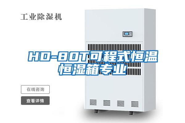 HD-80T可程式恒温恒湿箱专业