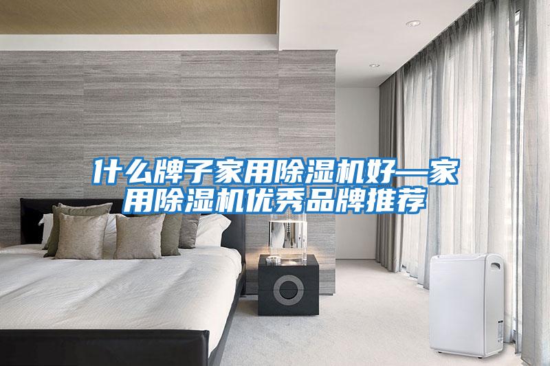 什么牌子家用除湿机好—家用除湿机优秀品牌推荐
