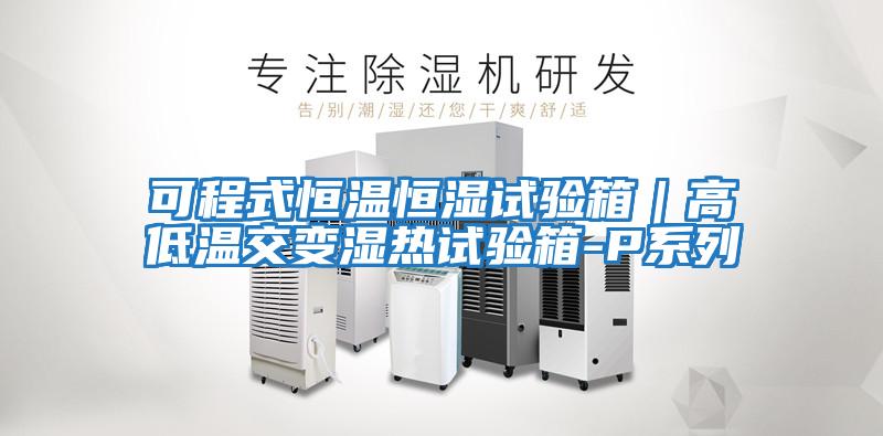 可程式恒温恒湿试验箱｜高低温交变湿热试验箱-P系列