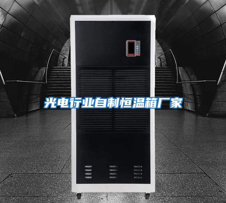 光电行业自制恒温箱厂家