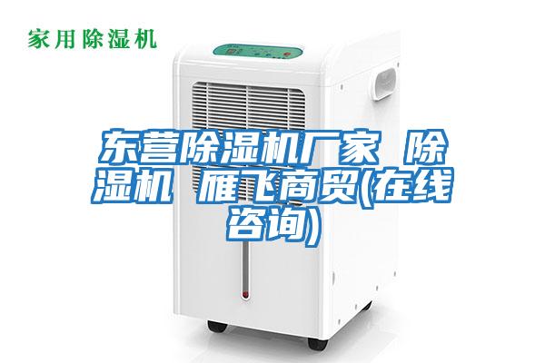 东营除湿机厂家 除湿机 雁飞商贸(在线咨询)