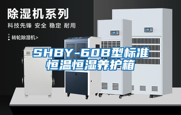 SHBY-60B型标准恒温恒湿养护箱