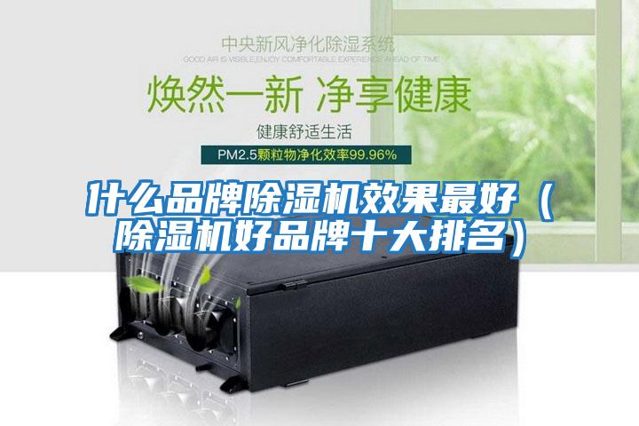 什么品牌除湿机效果最好（除湿机好品牌十大排名）