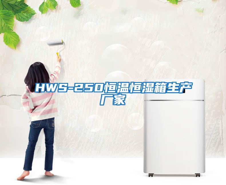 HWS-250恒温恒湿箱生产厂家