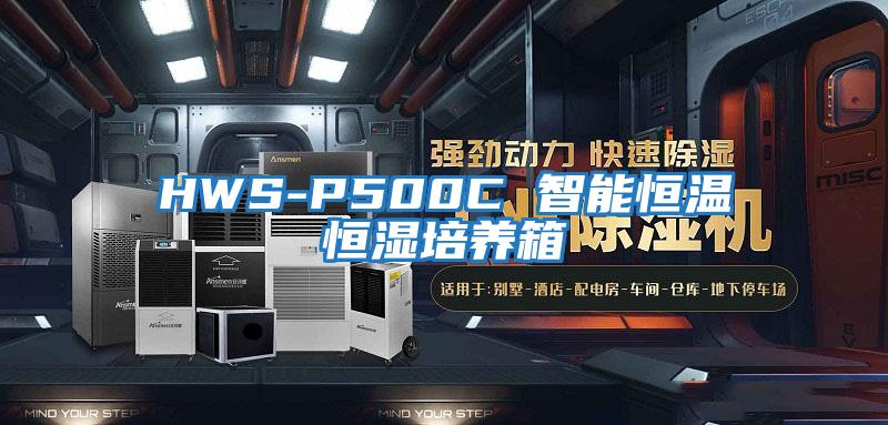 HWS-P500C 智能恒温恒湿培养箱