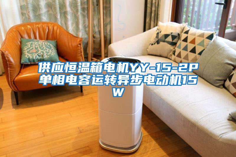 供应恒温箱电机YY-15-2P单相电容运转异步电动机15W