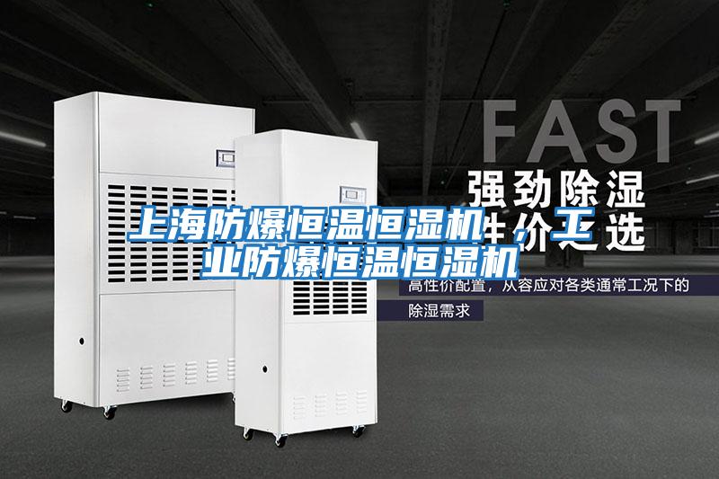 上海防爆恒温恒湿机 ，工业防爆恒温恒湿机