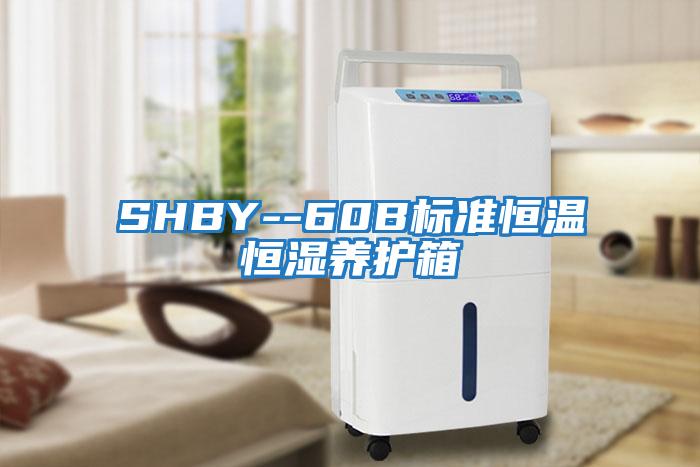 SHBY--60B标准恒温恒湿养护箱