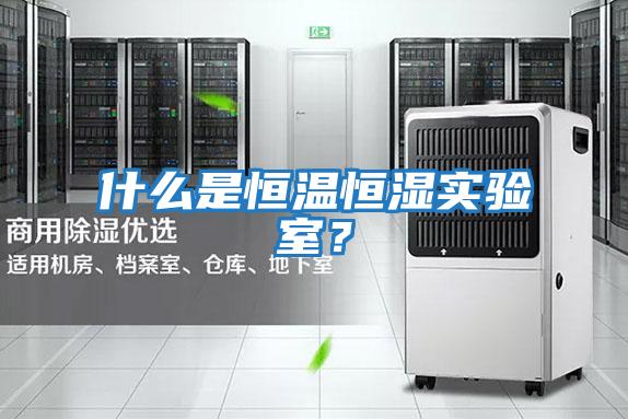 什么是恒温恒湿实验室？