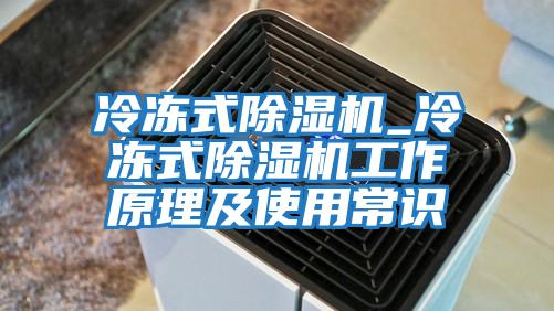 冷冻式除湿机_冷冻式除湿机工作原理及使用常识