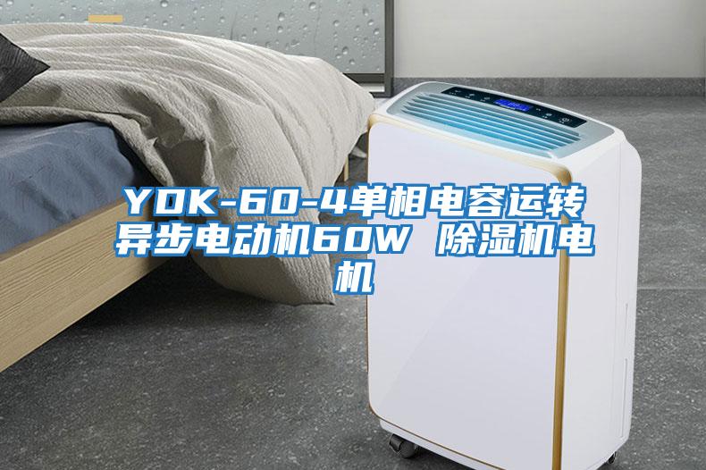 YDK-60-4单相电容运转异步电动机60W 除湿机电机