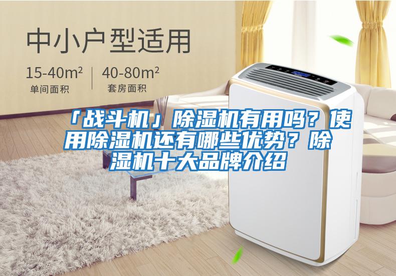 「战斗机」除湿机有用吗？使用除湿机还有哪些优势？除湿机十大品牌介绍