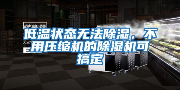 低温状态无法除湿，不用压缩机的除湿机可搞定
