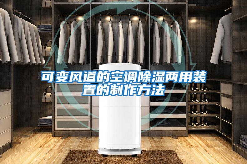 可变风道的空调除湿两用装置的制作方法