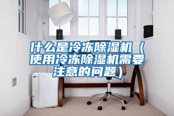 什么是冷冻除湿机（使用冷冻除湿机需要注意的问题）