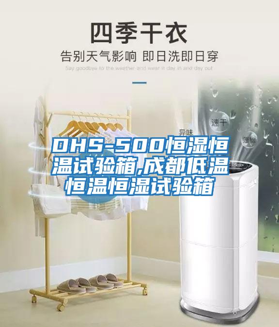 DHS-500恒湿恒温试验箱,成都低温恒温恒湿试验箱