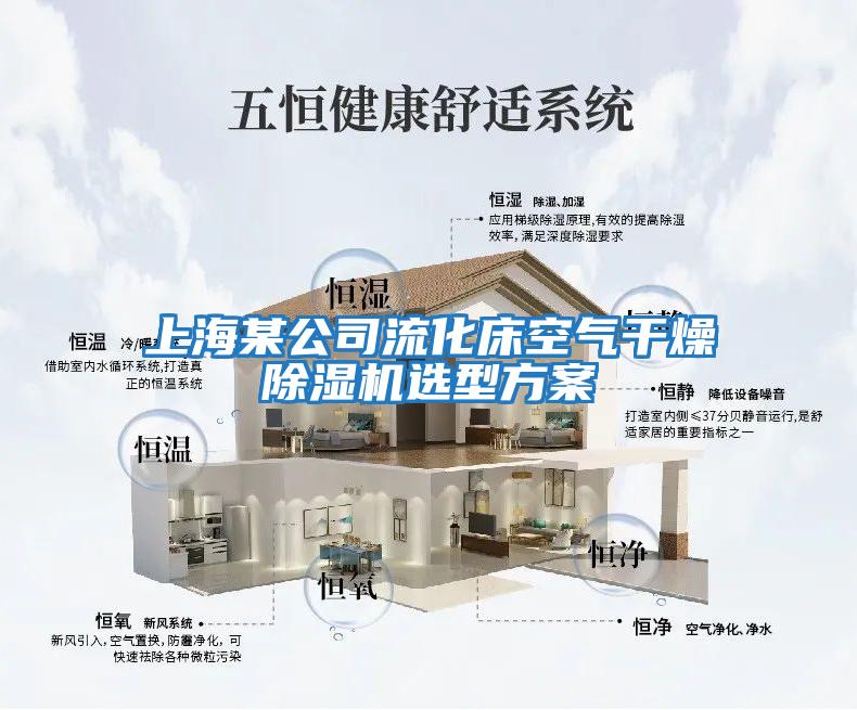 上海某公司流化床空气干燥除湿机选型方案