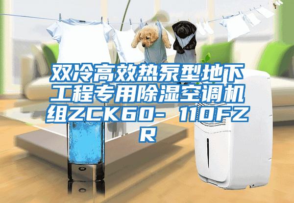 双冷高效热泵型地下工程专用除湿空调机组ZCK60- 110FZR