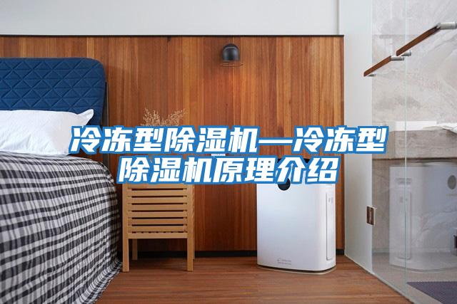 冷冻型除湿机—冷冻型除湿机原理介绍