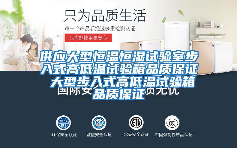 供应大型恒温恒湿试验室步入式高低温试验箱品质保证 大型步入式高低温试验箱品质保证