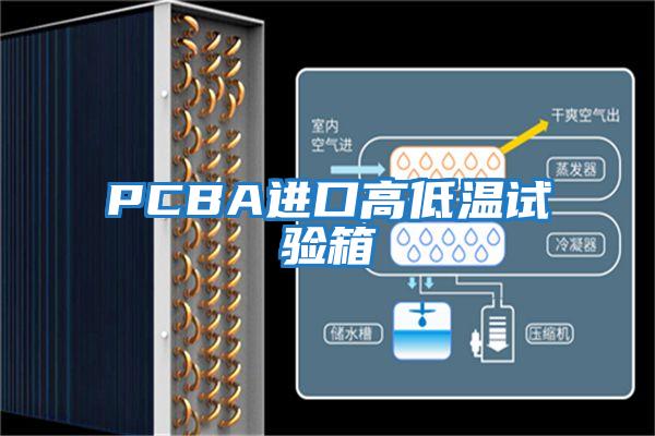 PCBA进口高低温试验箱