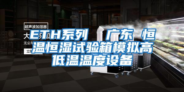 ETH系列  广东 恒温恒湿试验箱模拟高低温温度设备