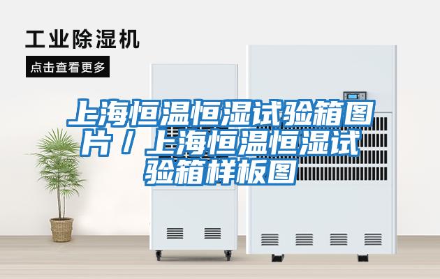 上海恒温恒湿试验箱图片／上海恒温恒湿试验箱样板图