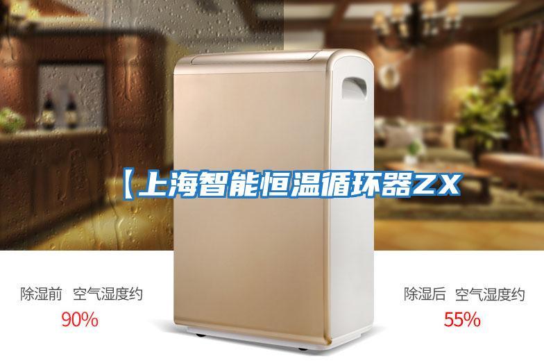 【上海智能恒温循环器ZX