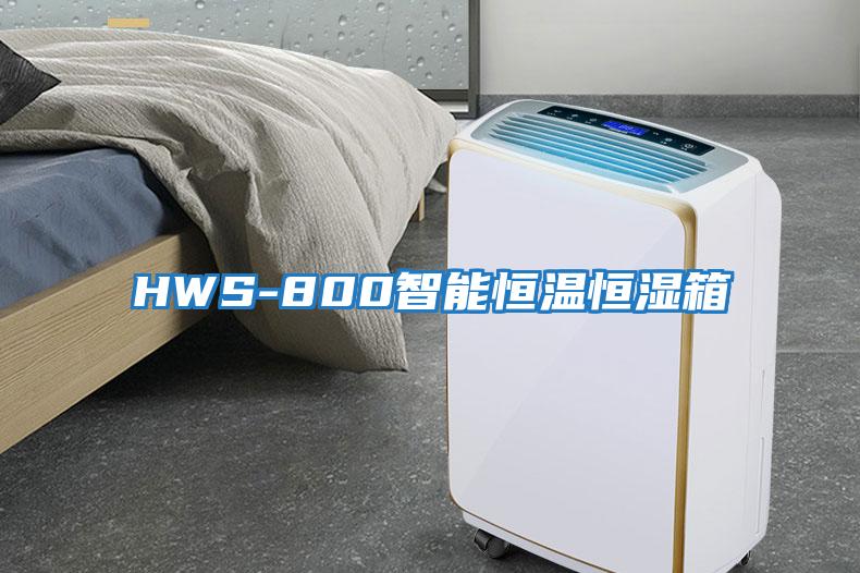 HWS-800智能恒温恒湿箱