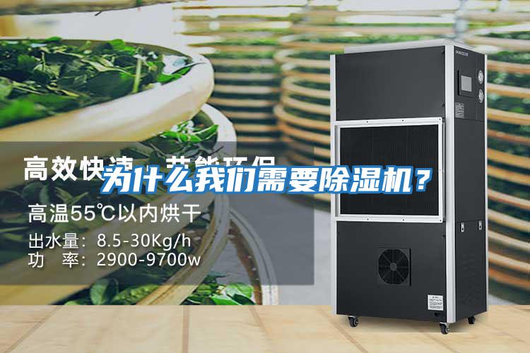 为什么我们需要除湿机？